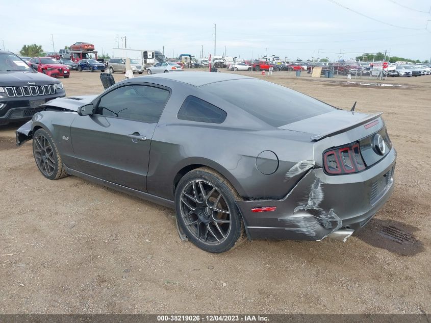 2014 FORD MUSTANG GT - 1ZVBP8CF3E5320682