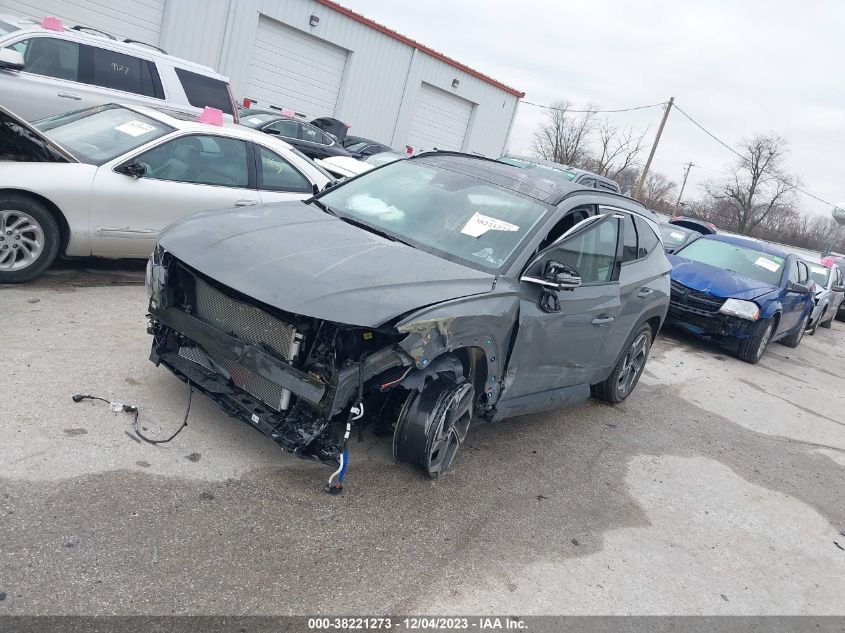 2024 HYUNDAI TUCSON LIMITED - 5NMJECDE1RH321202