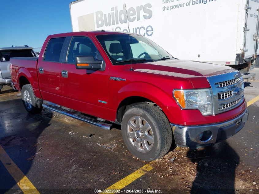 2013 FORD F-150 XLT - 1FTFW1CT7DKF77591