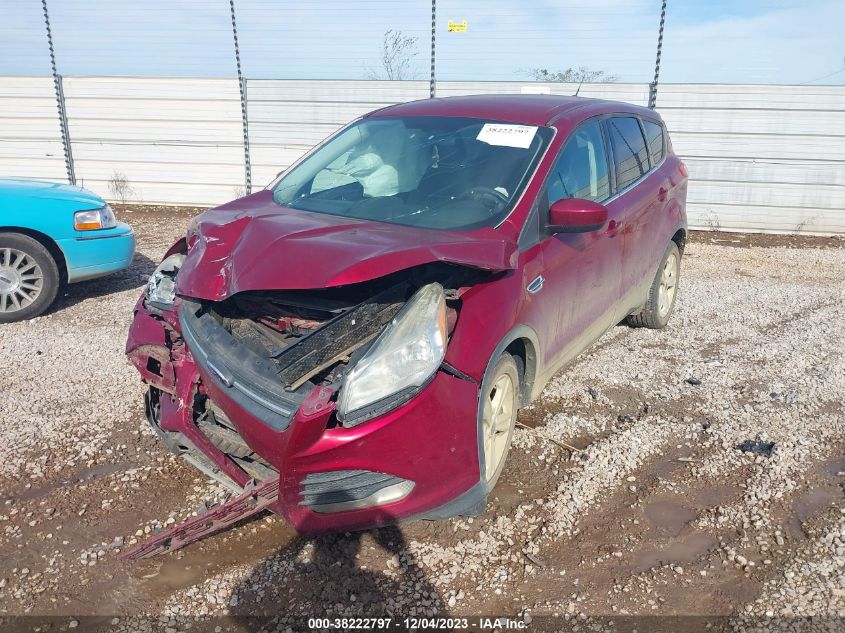 2014 FORD ESCAPE SE - 1FMCU0GX4EUB66425