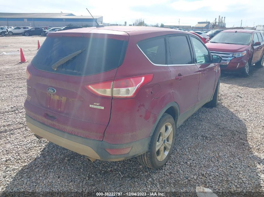 2014 FORD ESCAPE SE - 1FMCU0GX4EUB66425