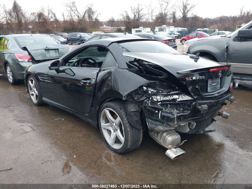 2014 MERCEDES-BENZ SLK 250 250 WDDPK4HA2EF080232