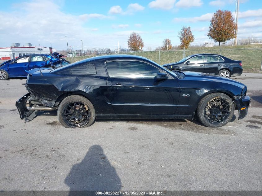 2014 FORD MUSTANG GT - 1ZVBP8CF1E5283776