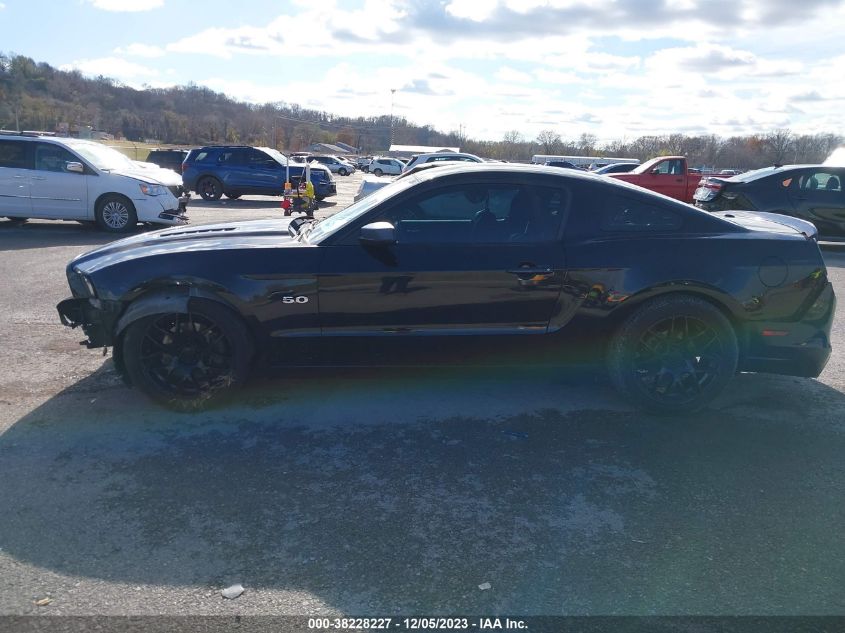 2014 FORD MUSTANG GT - 1ZVBP8CF1E5283776