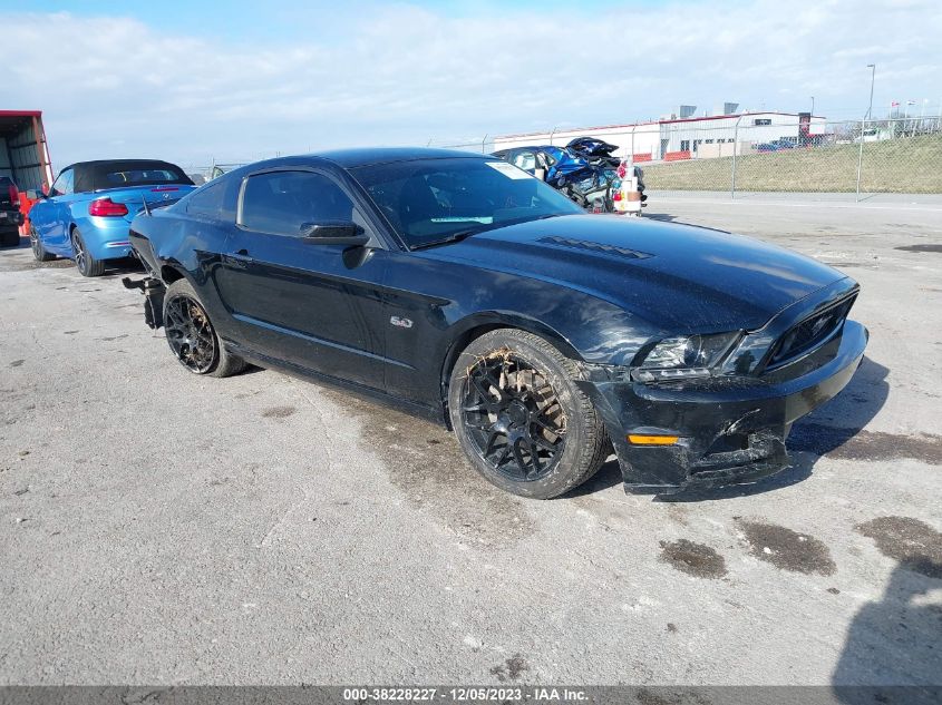 2014 FORD MUSTANG GT - 1ZVBP8CF1E5283776