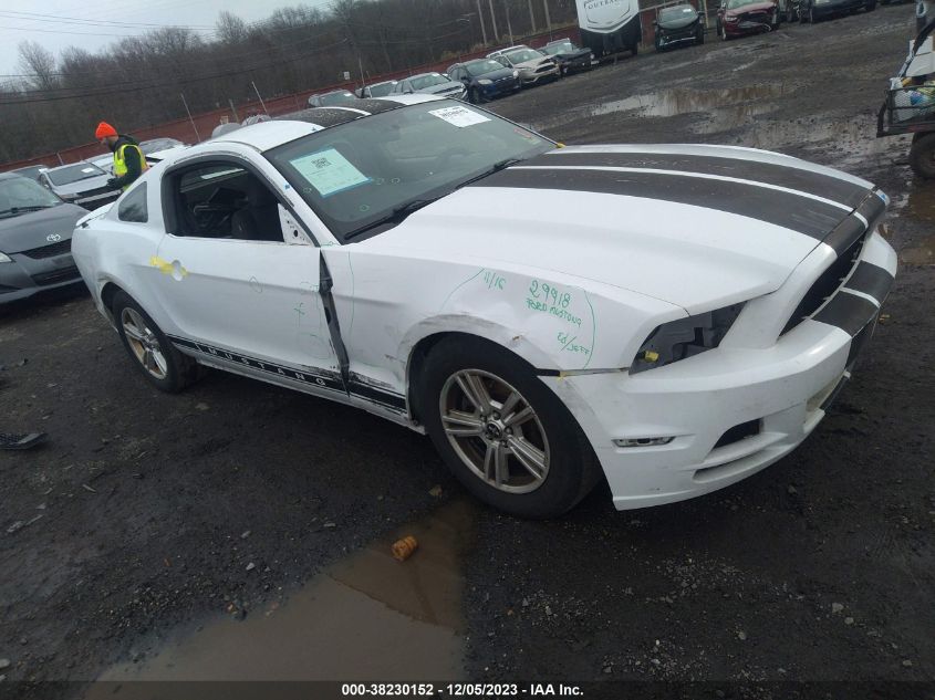 2014 FORD MUSTANG V6 - 1ZVBP8AM4E5263846