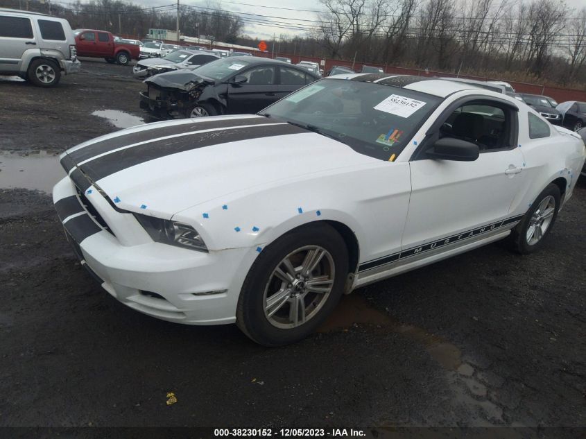 2014 FORD MUSTANG V6 - 1ZVBP8AM4E5263846