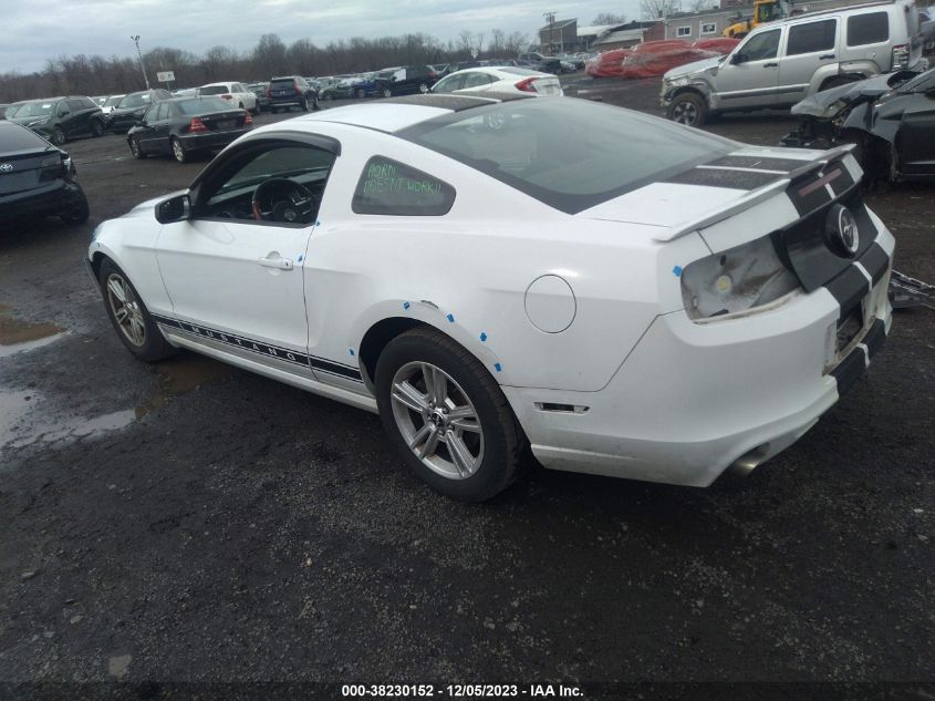 2014 FORD MUSTANG V6 - 1ZVBP8AM4E5263846