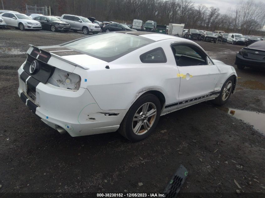 2014 FORD MUSTANG V6 - 1ZVBP8AM4E5263846