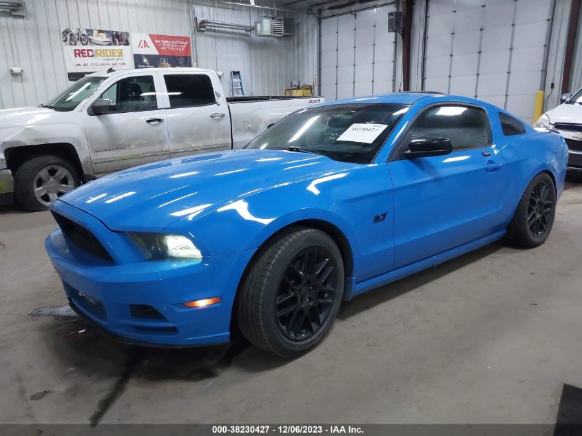 1ZVBP8AM5E5242276 2014 FORD MUSTANG - Image 2