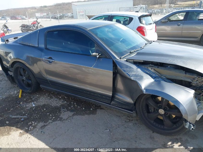 2013 FORD MUSTANG - 1ZVBP8AM1D5227515