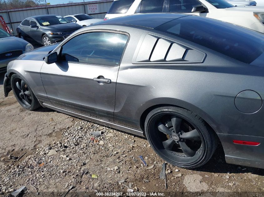 2013 FORD MUSTANG - 1ZVBP8AM1D5227515