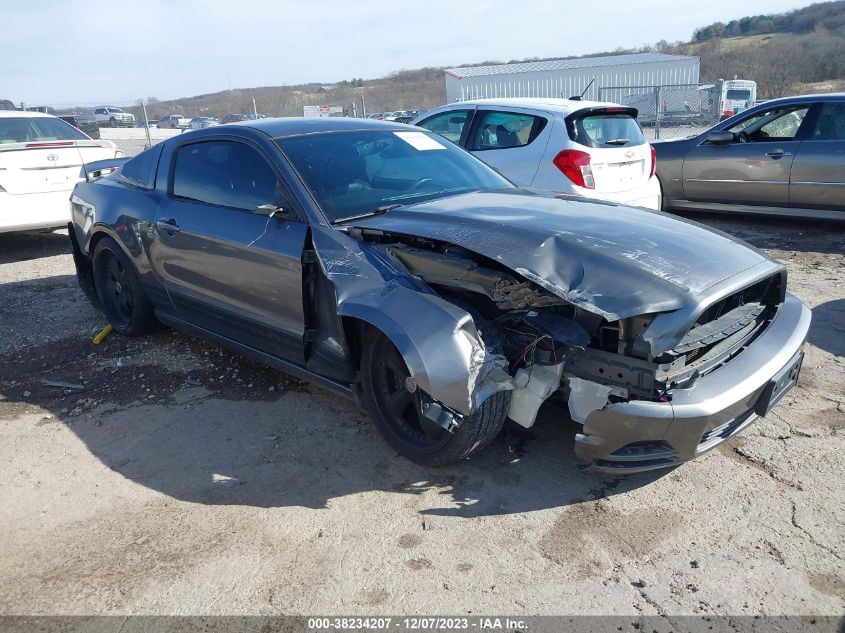 2013 FORD MUSTANG - 1ZVBP8AM1D5227515