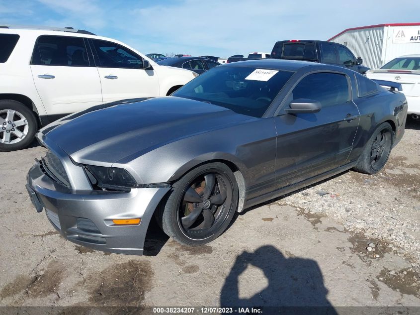 2013 FORD MUSTANG - 1ZVBP8AM1D5227515