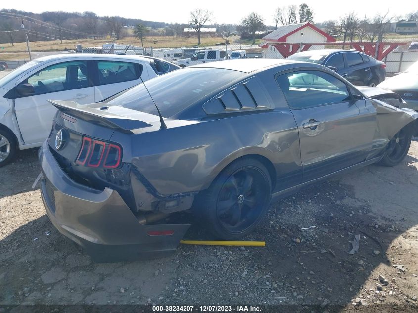 2013 FORD MUSTANG - 1ZVBP8AM1D5227515