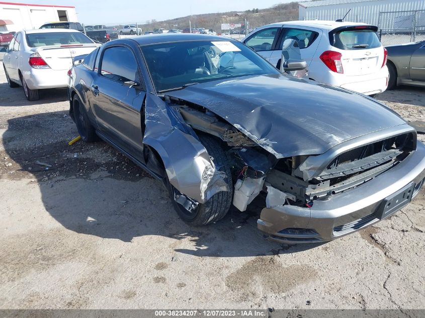 2013 FORD MUSTANG - 1ZVBP8AM1D5227515