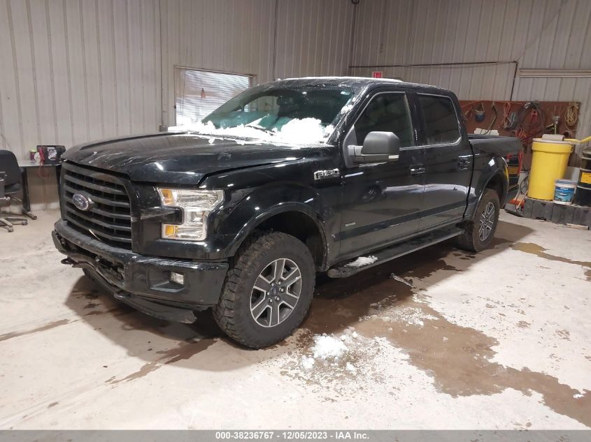 2017 FORD F-150 XLT - 1FTEW1EP1HKD54335