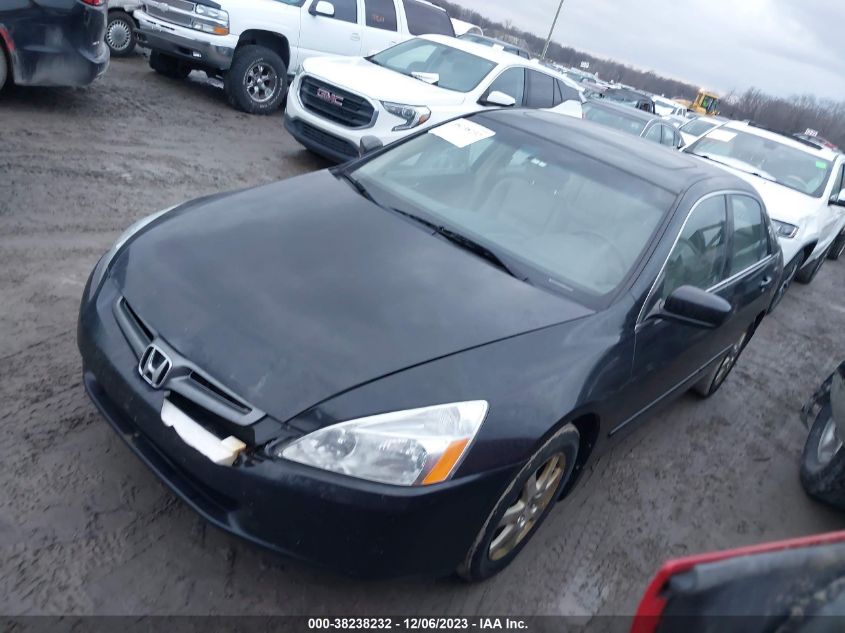 1HGCM66595A020208 | 2005 HONDA ACCORD