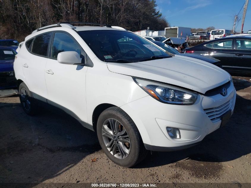 Lot #2541528056 2014 HYUNDAI TUCSON SE salvage car