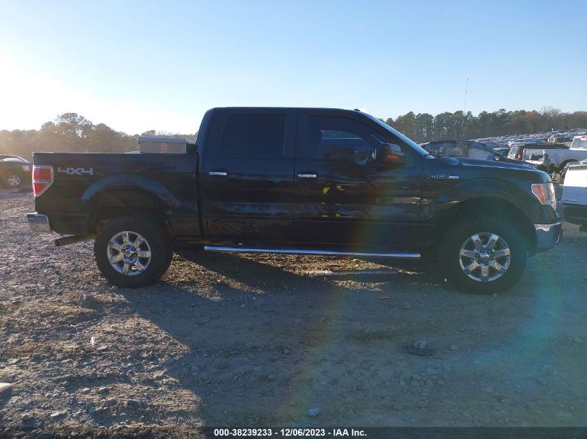 2013 FORD F-150 XLT - 1FTFW1EF5DFC02279