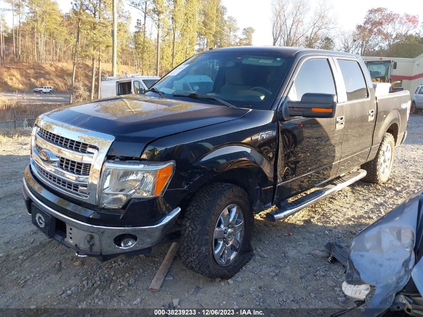 2013 FORD F-150 XLT - 1FTFW1EF5DFC02279