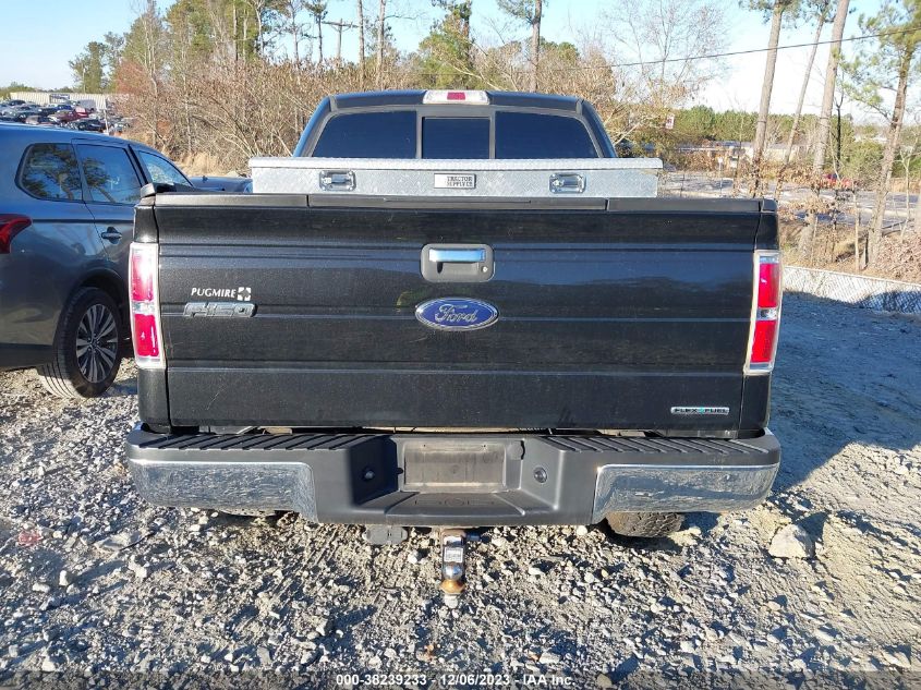 2013 FORD F-150 XLT - 1FTFW1EF5DFC02279