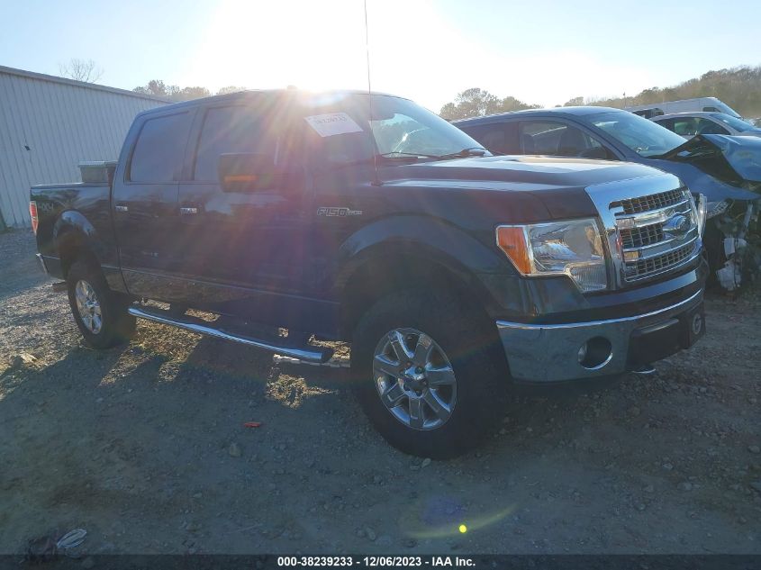 2013 FORD F-150 XLT - 1FTFW1EF5DFC02279