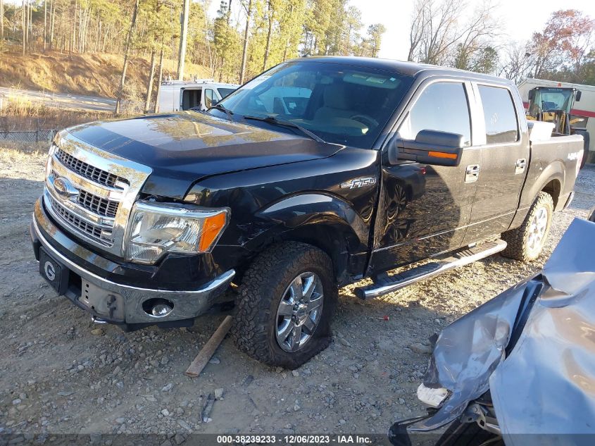 2013 FORD F-150 XLT - 1FTFW1EF5DFC02279