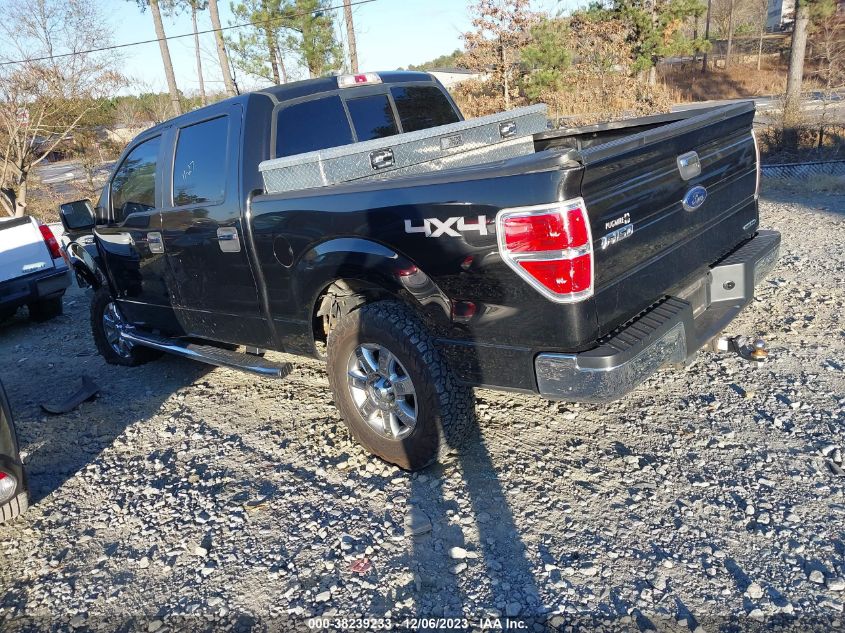 2013 FORD F-150 XLT - 1FTFW1EF5DFC02279