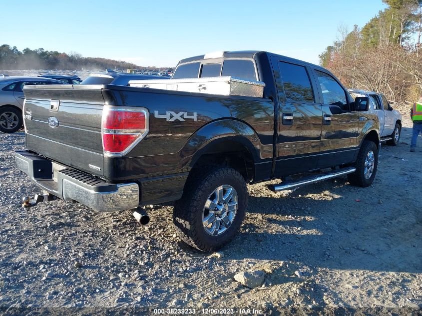 2013 FORD F-150 XLT - 1FTFW1EF5DFC02279