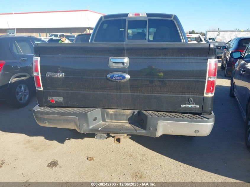 2013 FORD F-150 XLT - 1FTFW1EF8DKE10759