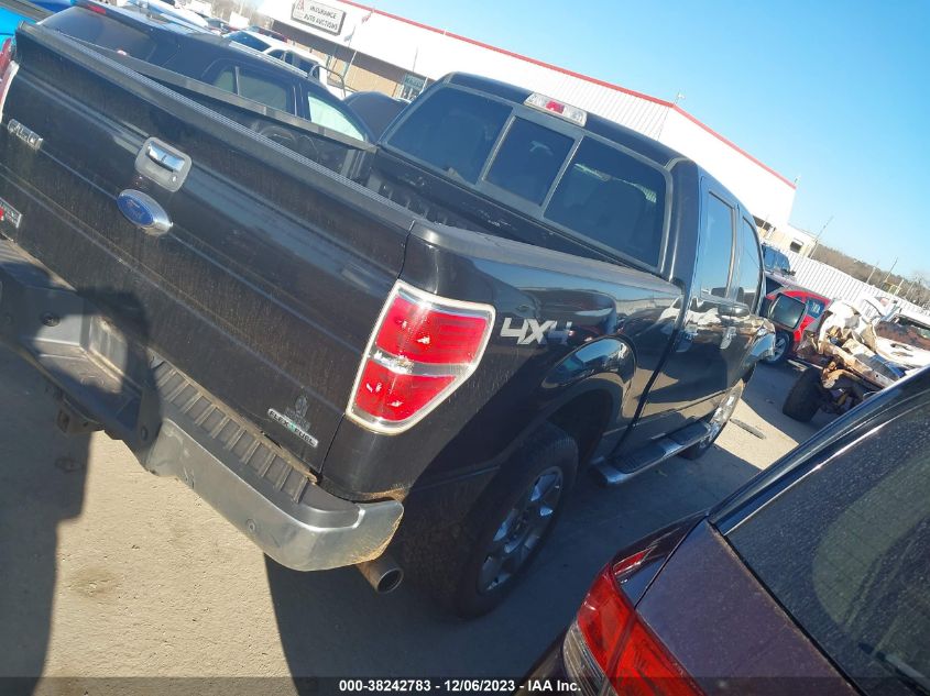 2013 FORD F-150 XLT - 1FTFW1EF8DKE10759