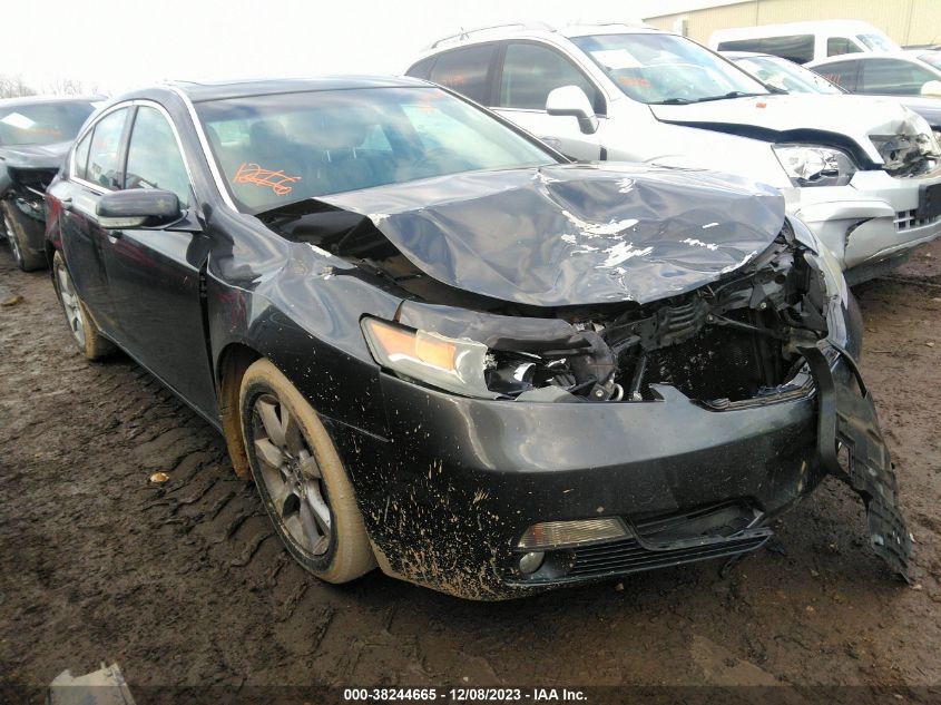2013 ACURA TL - 19UUA8F22DA003568