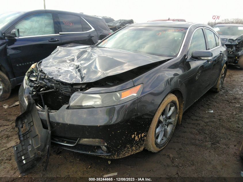 2013 ACURA TL - 19UUA8F22DA003568