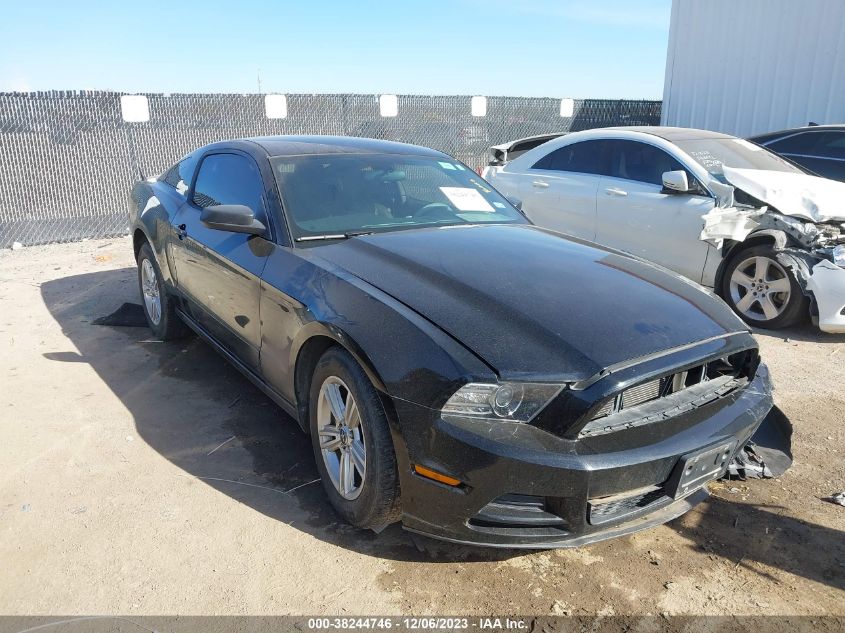 2014 FORD MUSTANG - 1ZVBP8AM4E5313354