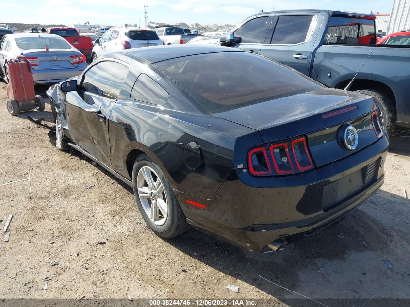 2014 FORD MUSTANG - 1ZVBP8AM4E5313354