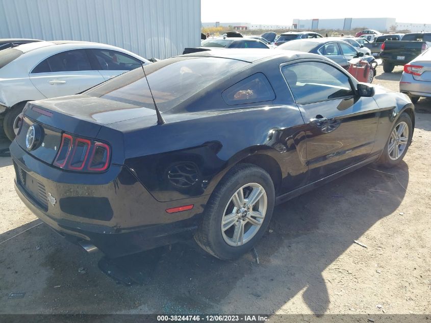 2014 FORD MUSTANG - 1ZVBP8AM4E5313354