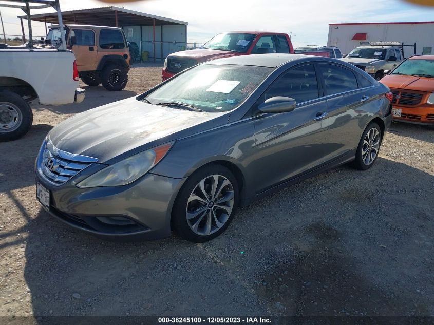 2013 HYUNDAI SONATA SE/LIMITED - 5NPEC4AB5DH645529