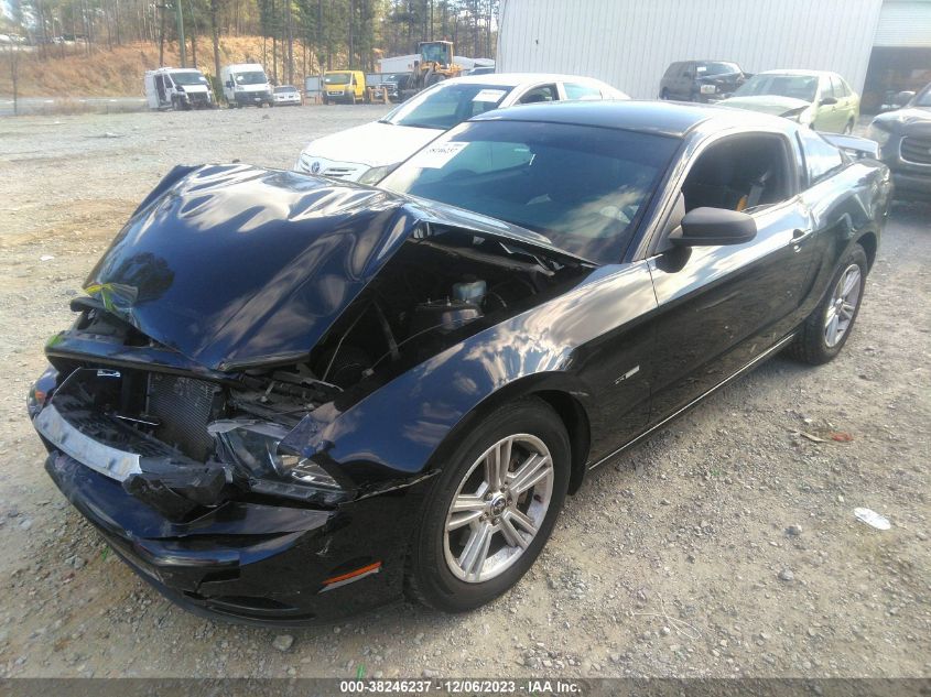 1ZVBP8AM8E5295876 | 2014 FORD MUSTANG