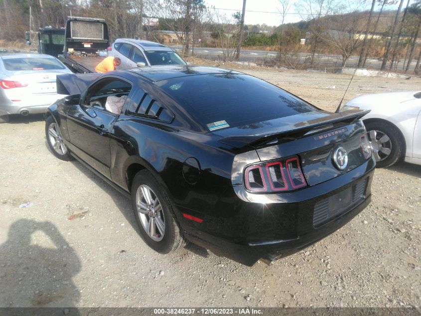 1ZVBP8AM8E5295876 | 2014 FORD MUSTANG