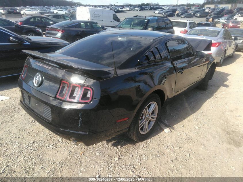 1ZVBP8AM8E5295876 | 2014 FORD MUSTANG