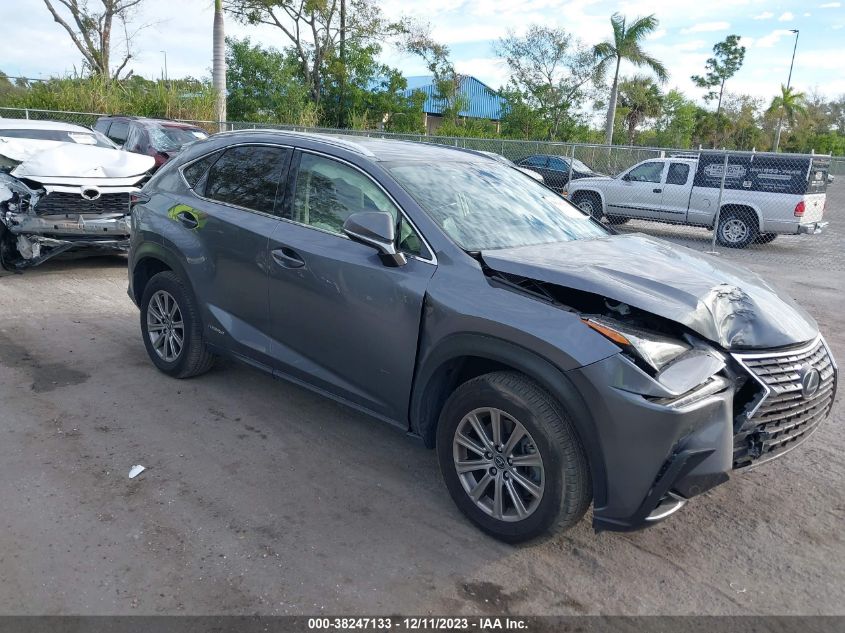 2020 LEXUS NX 300H - JTJDJRDZ4L2142966