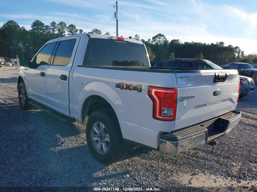 2015 FORD F-150 XLT - 1FTEW1EF6FFA42265