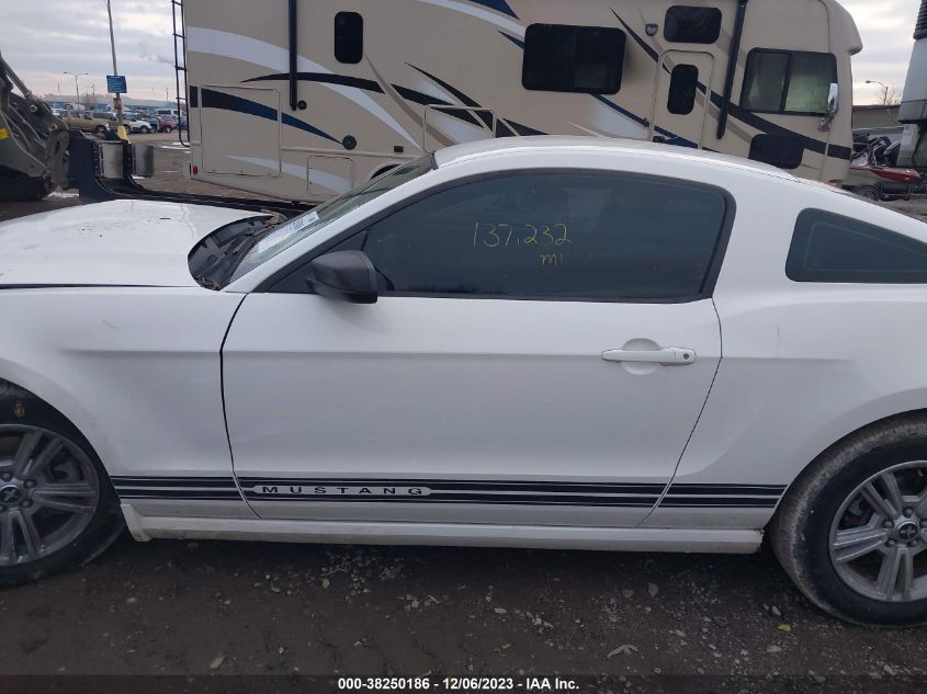 2013 FORD MUSTANG - 1ZVBP8AMXD5215508