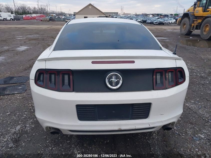 2013 FORD MUSTANG - 1ZVBP8AMXD5215508