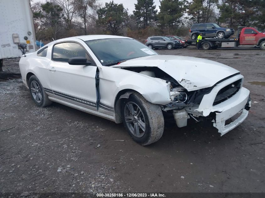 2013 FORD MUSTANG - 1ZVBP8AMXD5215508