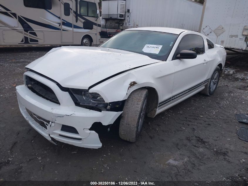 2013 FORD MUSTANG - 1ZVBP8AMXD5215508