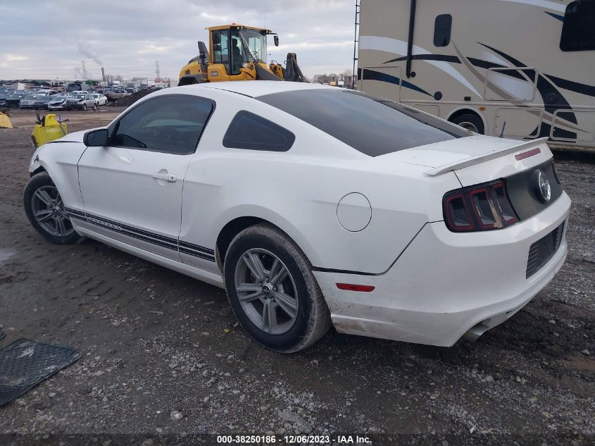 2013 FORD MUSTANG - 1ZVBP8AMXD5215508