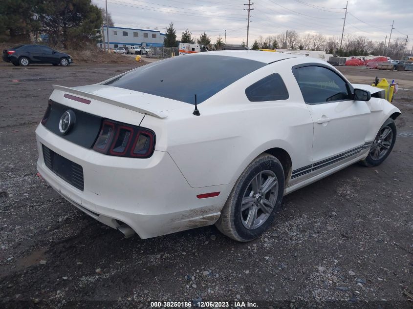 2013 FORD MUSTANG - 1ZVBP8AMXD5215508