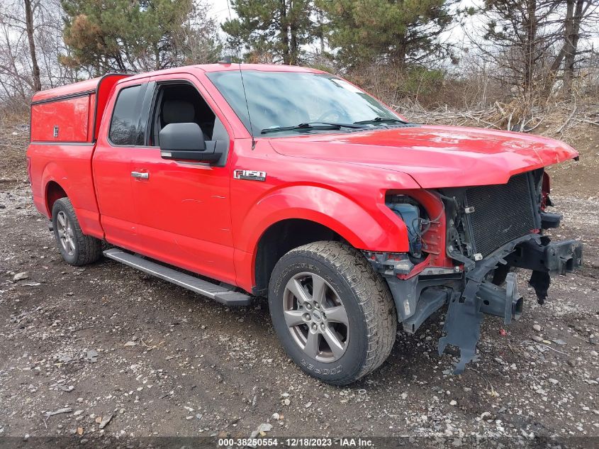 2019 FORD F-150 XLT - 1FTEX1C58KKC28561